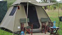 Chobe National Park Camping Safari From Victoria Falls (3 Days and 2 Nights)