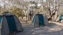 Chobe National Park Camping Safari From Victoria Falls (2 Days and 2 Nights)