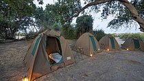 Chobe National Park Camping Safari From Victoria Falls (2 Days and 1 Night)