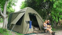 Chobe National Park Camping Safari From Victoria Falls (1 Day and 1 Night)