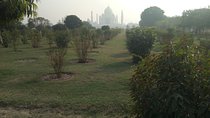 Private Taj Mahal Sunrise Day Tour From Delhi by Car
