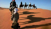 Private 2 Days Tour To Zagora Desert From Marrakech