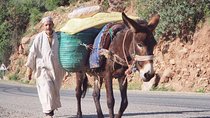 Private Half-day Trip To Ourika Valley From Marrakech Including Camel Ride 