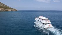 Cruise and 4X4 Safari Tour at Akamas Peninsula from Paphos