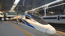 Private Day Trip to Tianjin from Beijing by Bullet Train