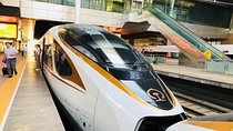 Private Tianjin Port Departure Transfer from Beijing by Bullet Train Experience