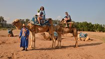 Sunset camel ride in Agadir with transport, tea and cakes.