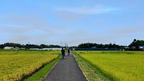 Rural Japan cycling tour to the rich nature area in Ichinomiya