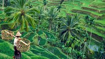 All inclusive Ubud private tour