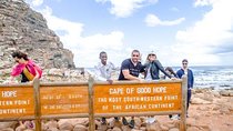 Breath-taking Cape Peninsula Tour 