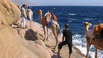 Camel Ridding marsa alam safari from Camel Yard