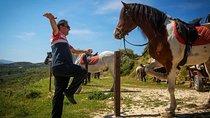 Crete Finikia and Giouchtas Mountains Horse Riding Tour with Lunch