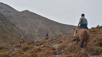 Horseback Ride in the Andes Mountain - Private tour from Santiago