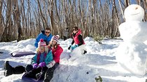 Lake Mountain Snow Trip including Yarra Valley Chocolaterie from Melbourne