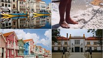 Aveiro Tour Small group, Moliceiro Cruise, Costa Nova, Vista Alegre & Lunch