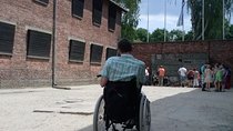 Wheelchair accessible PRIVATE transfer to Auschwitz - Birkenau