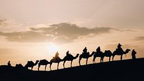 Desert Sunset Camel Ride With Free Tea in The Desert Camp