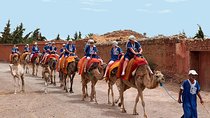 2 Hours Camel Ride in The Famous Marrakech Palm Groves and Berber Villages
