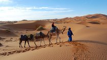2-Day Desert Trip from Fes to Marrakech