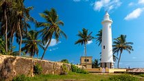 Highlights Of South Srilanka Day Tour From Colombo