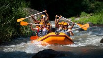 Ubud Tour And Bali White Water Rafting