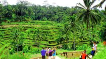 Best of Bali Tour - All Inclusive
