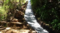 Private Transfer to Levada do Alecrim - Rosemary Levada (easy)