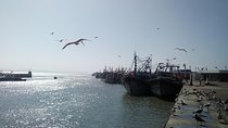 Day trip to Essaouira