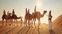 Camel Trekking In Dubai