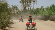 Marrakech Quad Bike ATV on the Palm Groves