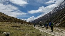 Langtang Valley Trek