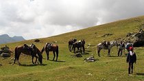 Rila Trail Riding for Experienced Riders