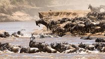 6 Days Luxury Migration Safari-Northern Tanzania