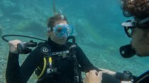 PADI ReActivate, Refresh your scuba skills!