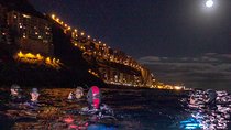 Scuba Night Dive on Tenerife