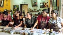 Bean to Bar Chocolate Workshop in Puerto Vallarta