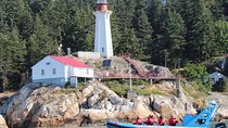 Vancouver City and Seals Scenic Boat Tour by Vancouver Water Adventures