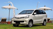 Charter Standard Vehicle with Driver at Bali- 5 Hours Usage