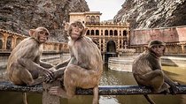 Jaipur Tour By Car & Guide - Private Full Day Sightseeing with Tickets