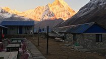 Annapurna Base Camp Treks