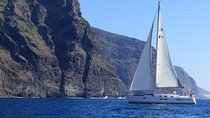 Los Gigantes Whale Watching Charter by Sail Boat