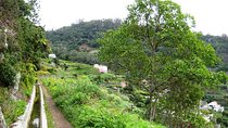 Private Guided Walk Levada Maroços Machico