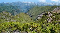 Private Walk Achadas Teixeira - Pico Ruivo Half-day
