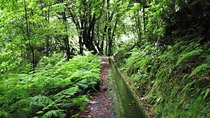 Private Guided Walk Levada do Rei
