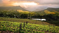 Cape Town: Winelands - Private Full Day Tour
