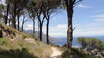 Pipetrack Hike for the whole family on Table Mountain - PRIVATE