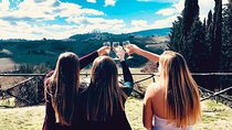 Chianti Wineries Tour with Tuscan Lunch and San Gimignano
