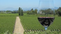Sonoma and Napa Wine Tour 3 Tastings Included Small-Group Tour