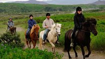 Agadir Taghazout Horse Riding 2 Hours