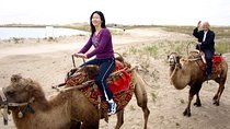 Best Fun and Cheap 2 Hours Camel Experience in Agadir